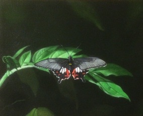 Butterfly Green
oil on canvas
8 x 10
$150